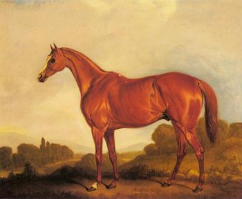 A Portrait of the Racehorse Harkaway, the Winner of Goodwood